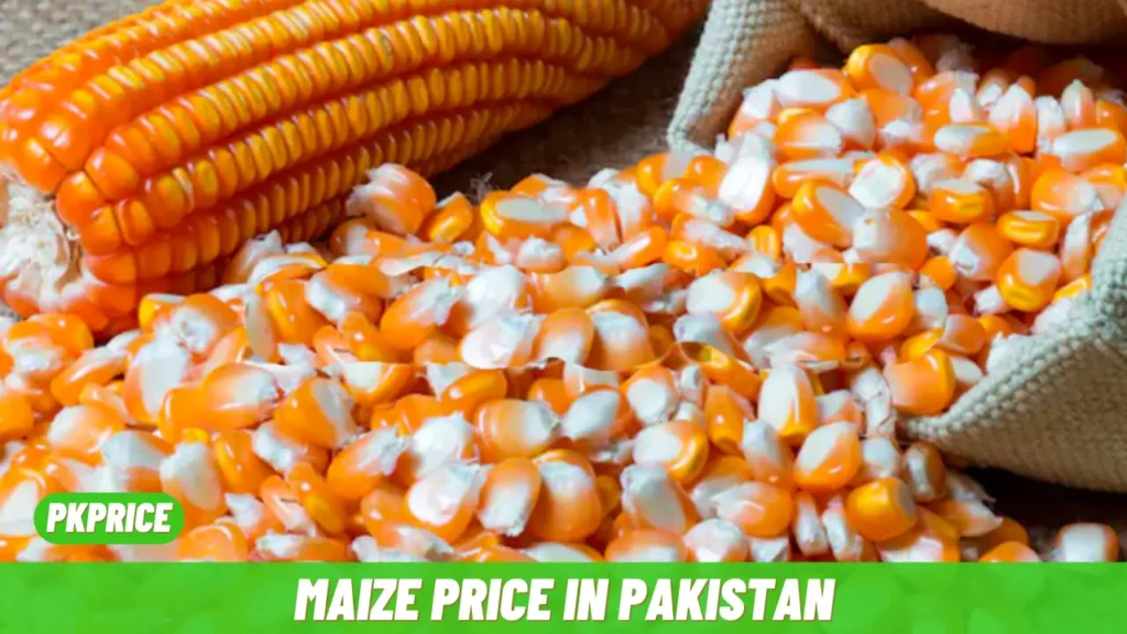 Maize Price in Pakistan Corn