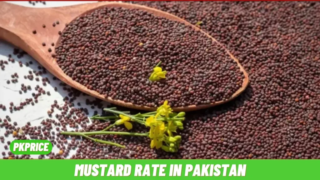 Mustard Rate in Pakistan 2024