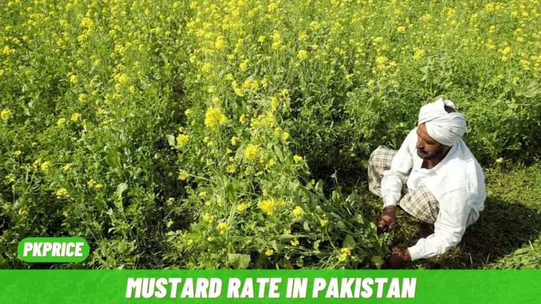 Mustard Rate in Pakistan