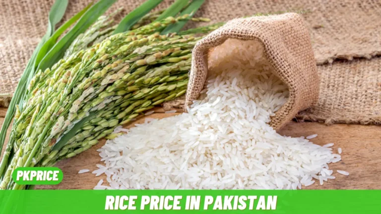 Rice Price in Pakistan 2024 Sep