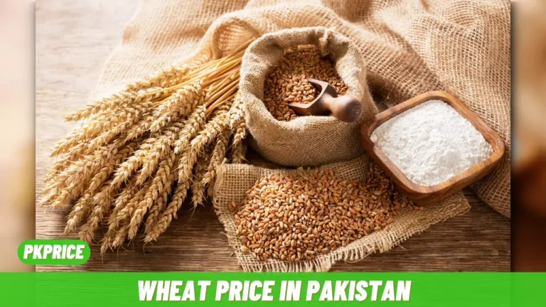 Wheat Price in Pakistan