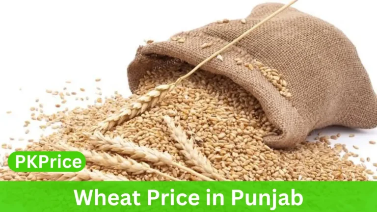 Wheat Price in Punjab Today