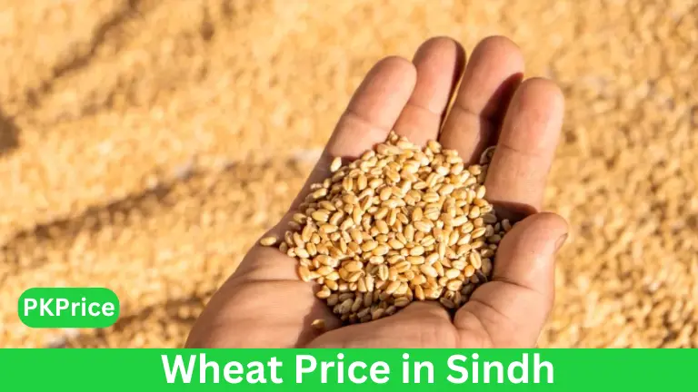 Wheat Price in Sindh